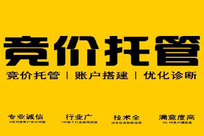 SEM网络推广成功案例：如何抓住潜在客户